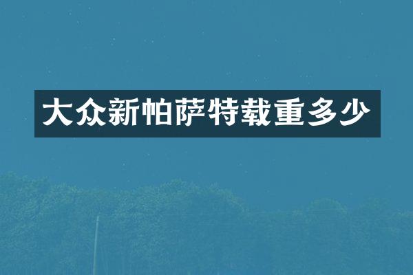 大众新帕萨特载重多少