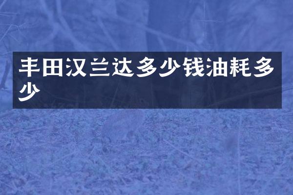 丰田汉兰达多少钱油耗多少