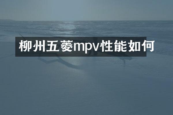 柳州五菱mpv性能如何