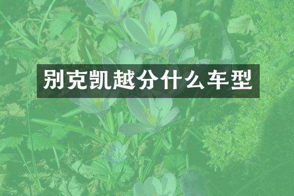别克凯越分什么车型
