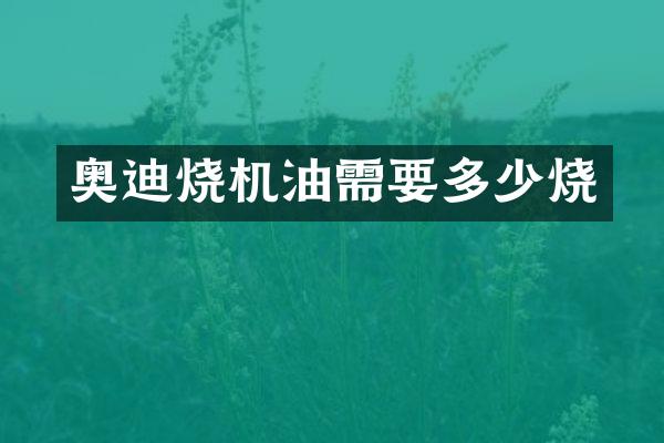 奥迪烧机油需要多少烧