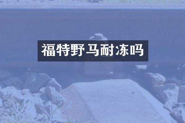 福特野马耐冻吗