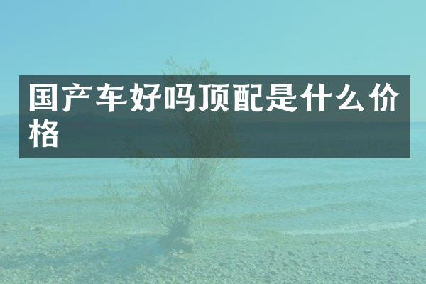国产车好吗顶配是什么价格