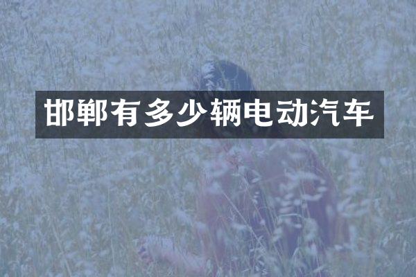 邯郸有多少辆电动汽车