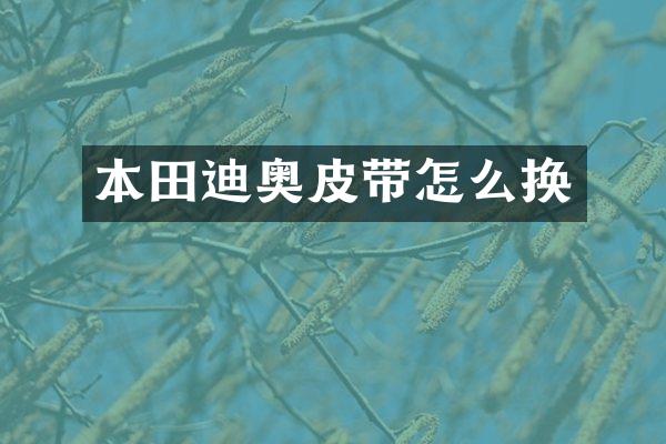 本田皮带怎么换