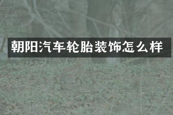 朝阳汽车轮胎装饰怎么样