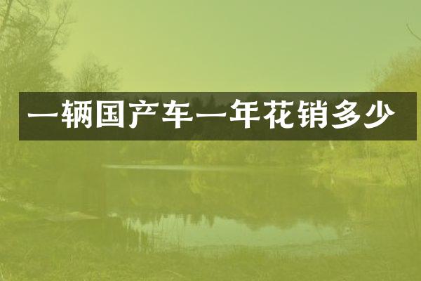 一辆国产车一年花销多少