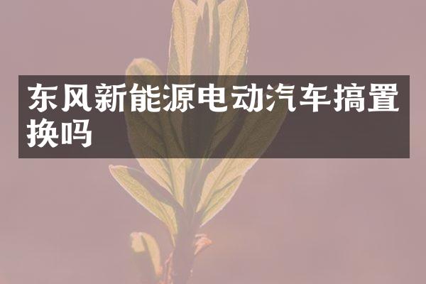东风新能源电动汽车搞置换吗