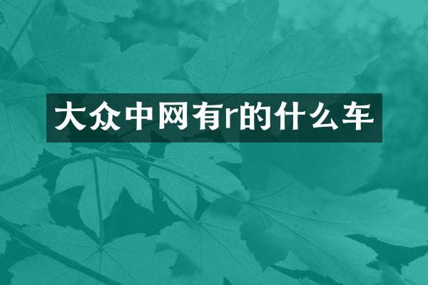 大众中网有r的什么车