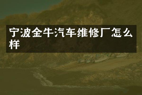 宁波金牛汽车维修厂怎么样
