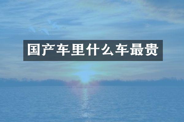 国产车里什么车最贵