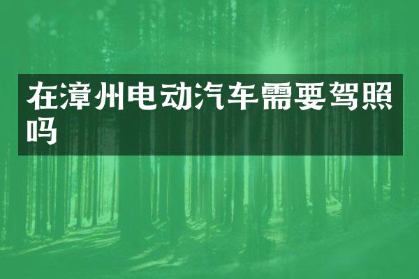在漳州电动汽车需要驾照吗