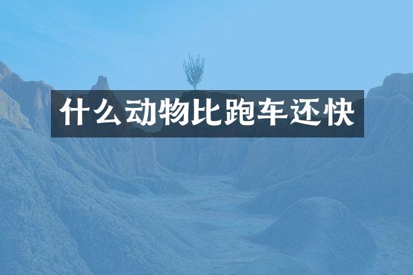 什么动物比跑车还快