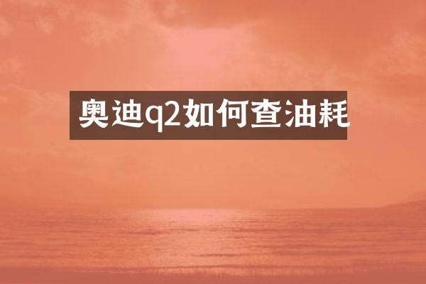 奥迪q2如何查油耗