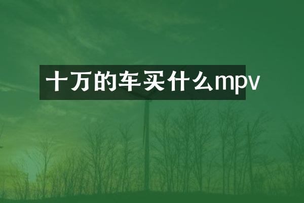 十万的车mpv