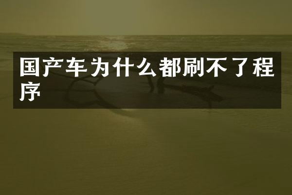 国产车为什么都刷不了程序