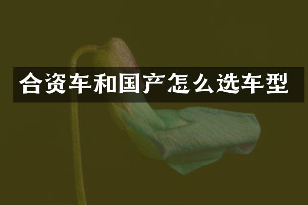 合资车和国产怎么选车型