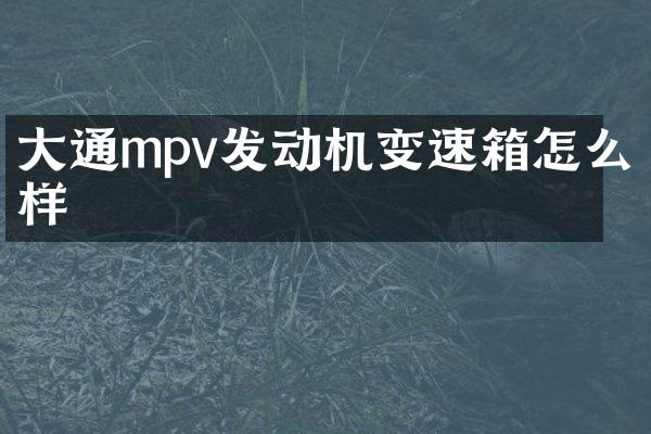 大通mpv发动机变速箱怎么样