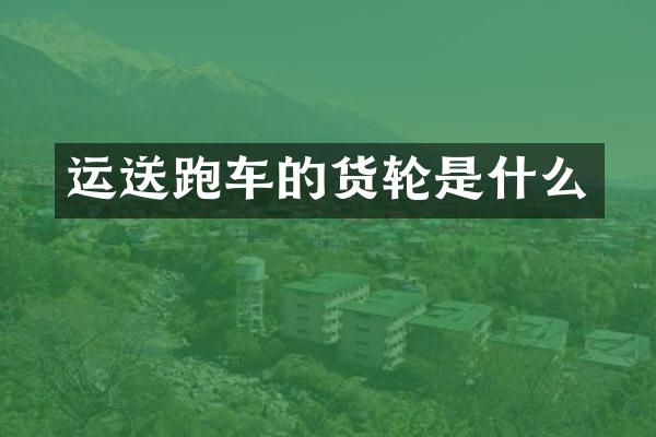 运送跑车的货轮是什么