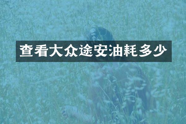 查看大众途安油耗多少