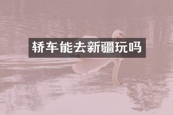 轿车能去新疆玩吗