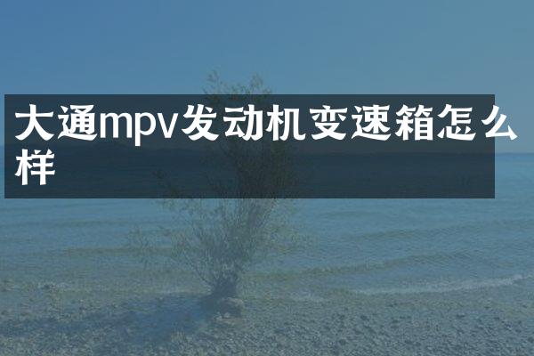 大通mpv发动机变速箱怎么样