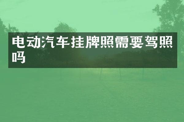 电动汽车挂牌照需要驾照吗
