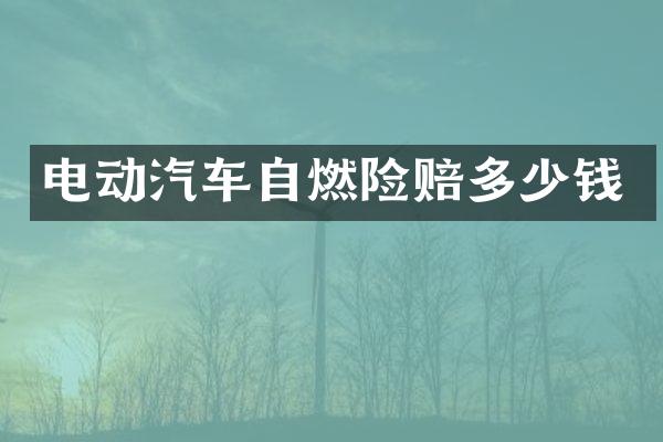 电动汽车自燃险赔多少钱