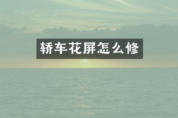 轿车花屏怎么修