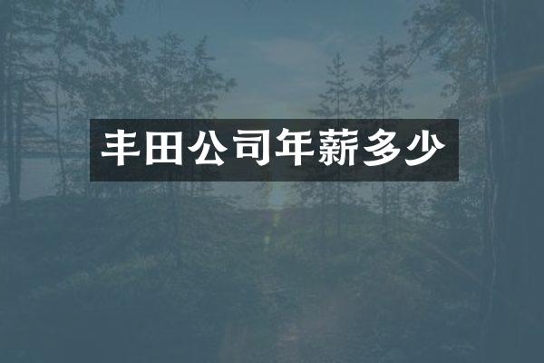 丰田公司年薪多少