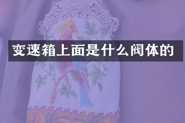 变速箱上面是什么阀体的