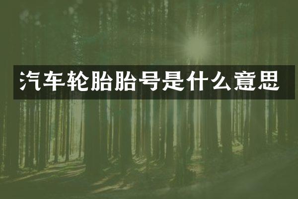 汽车轮胎胎号是什么意思