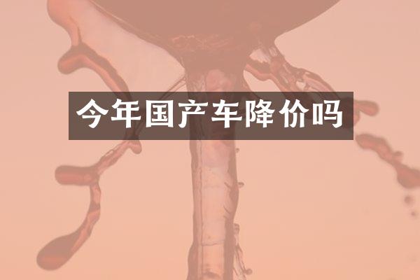 今年国产车降价吗