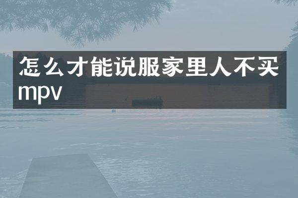怎么才能说服家里人不买mpv
