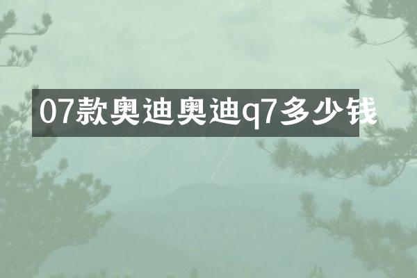07款奥迪q7多少钱