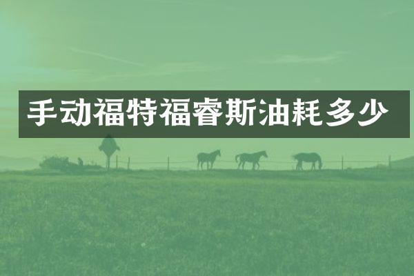 手动福特福睿斯油耗多少