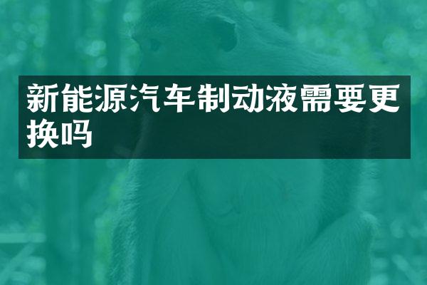新能源汽车制动液需要更换吗