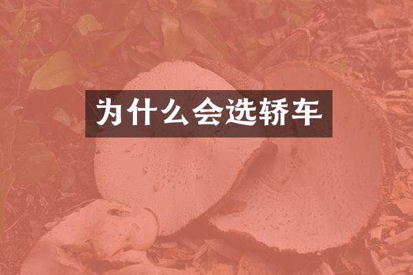 为什么会选轿车