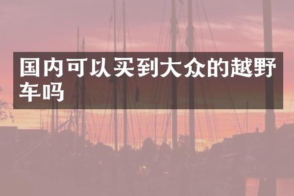 国内可以买到大众的越野车吗