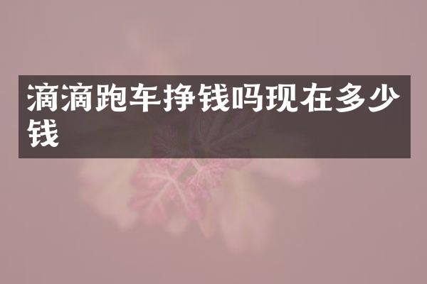 滴滴跑车挣钱吗现在多少钱