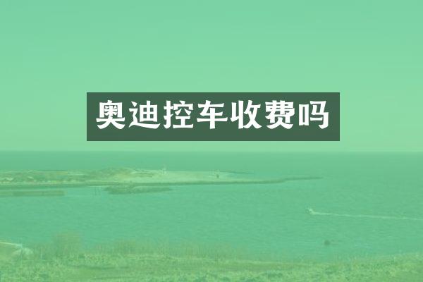 奥迪控车收费吗