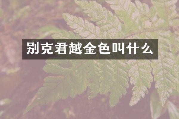 别克君越金色叫什么