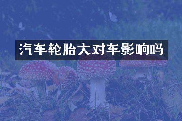 汽车轮胎大对车影响吗