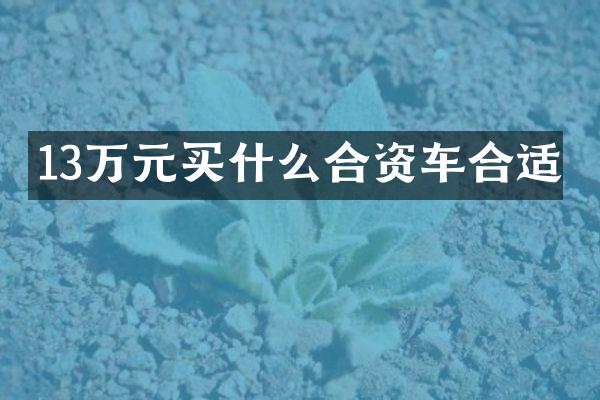 13万元合资车合适