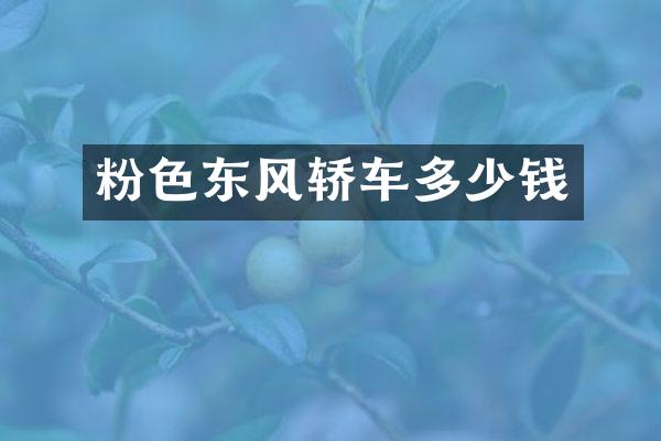 粉色东风轿车多少钱