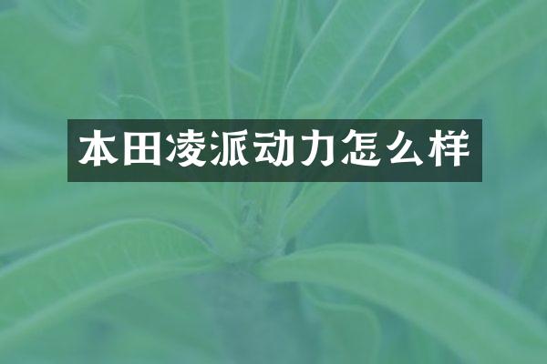 本田凌派动力怎么样