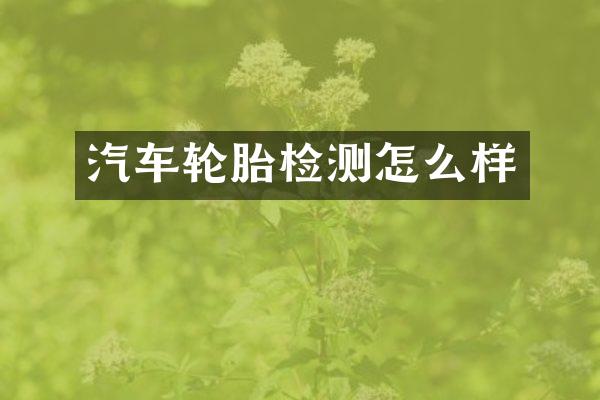 汽车轮胎检测怎么样