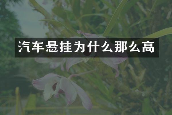 汽车悬挂为什么那么高