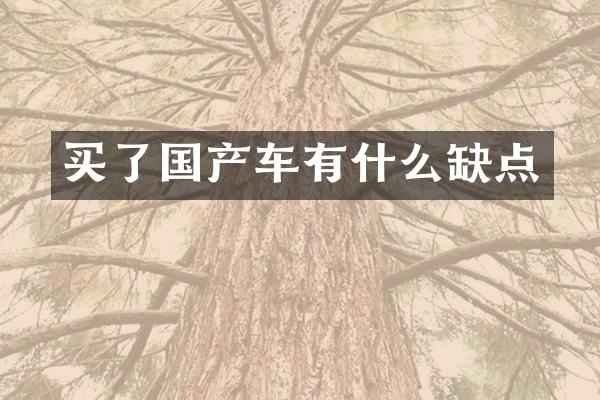 买了国产车有什么缺点