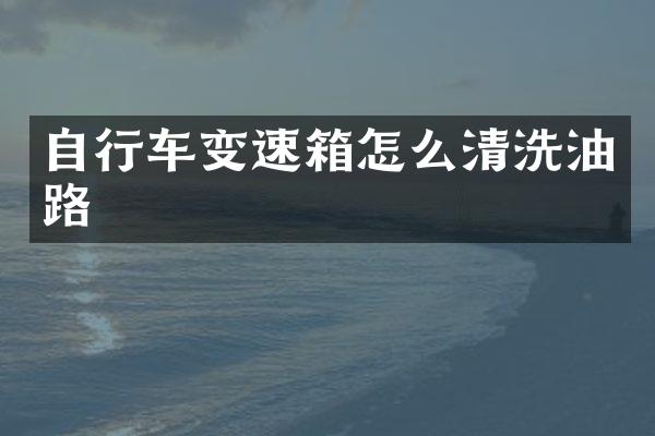 自行车变速箱怎么清洗油路